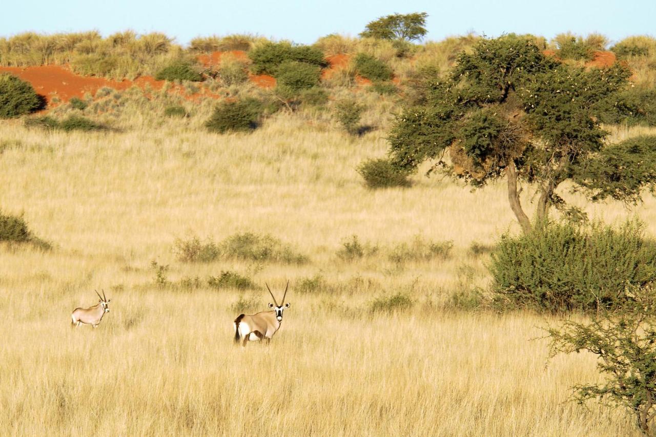 Gondwana Kalahari Anib Lodge Hardap Exteriér fotografie