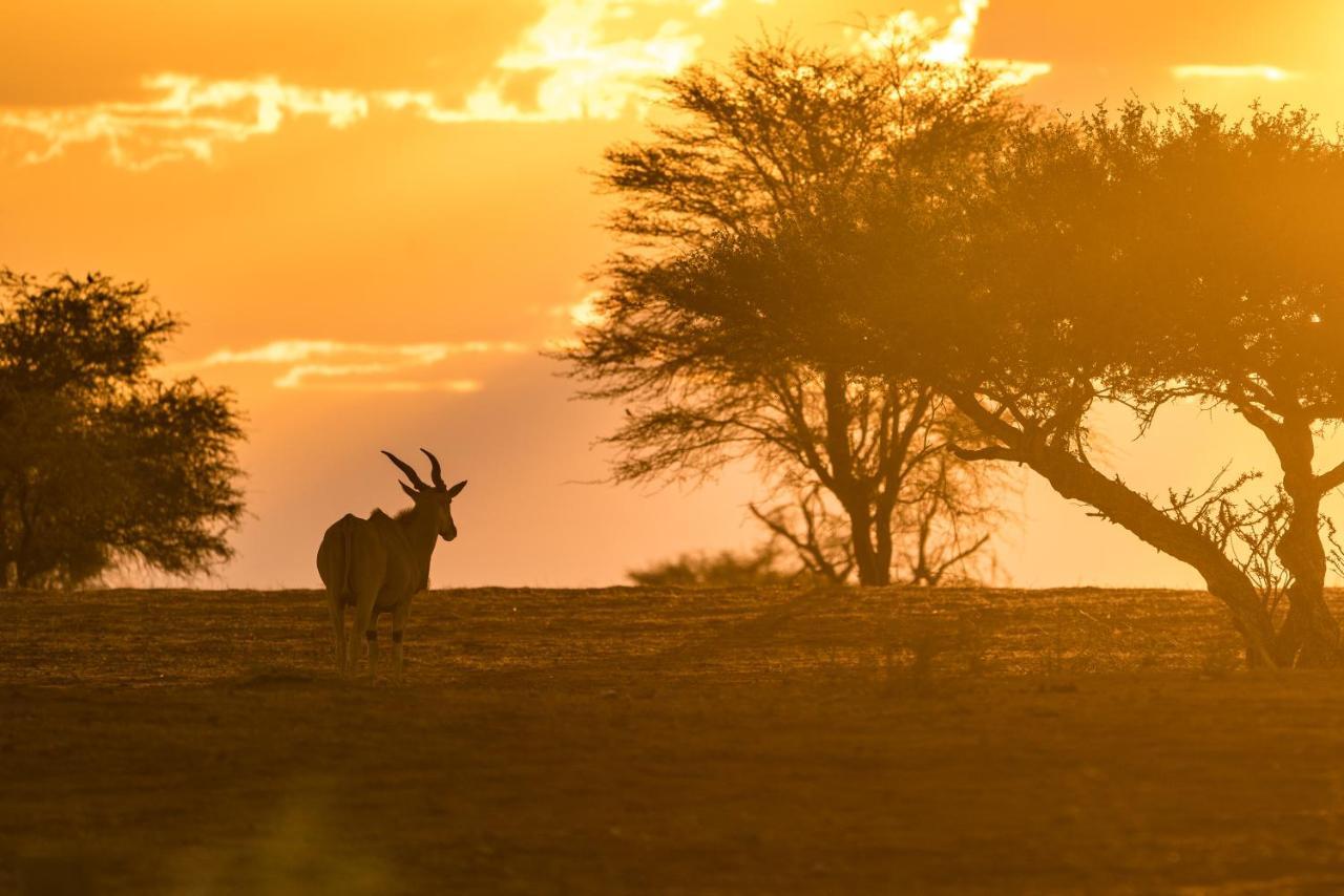 Gondwana Kalahari Anib Lodge Hardap Exteriér fotografie